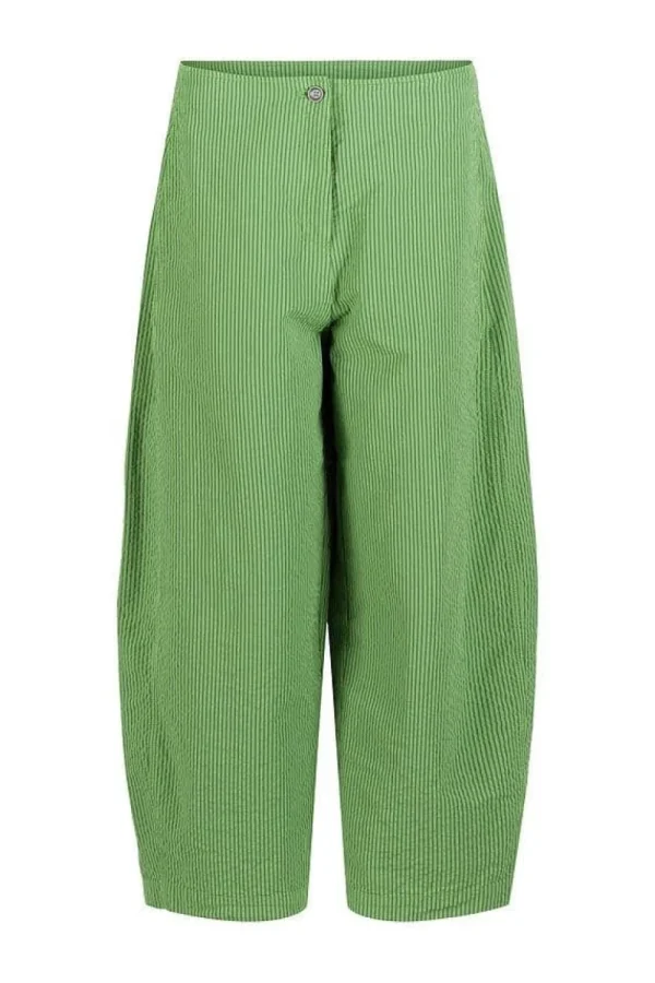 Ischiko Trousers 506 garden